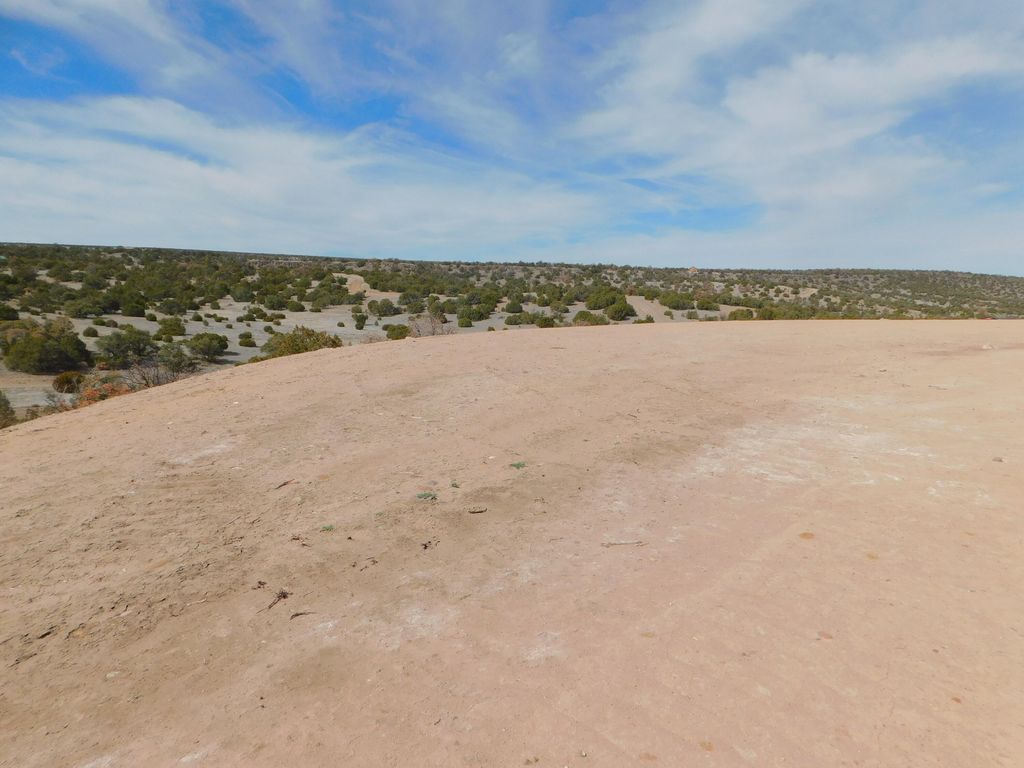 Image 18 of property listing at 311 Cimarron Drive, Quemado, NM 87829