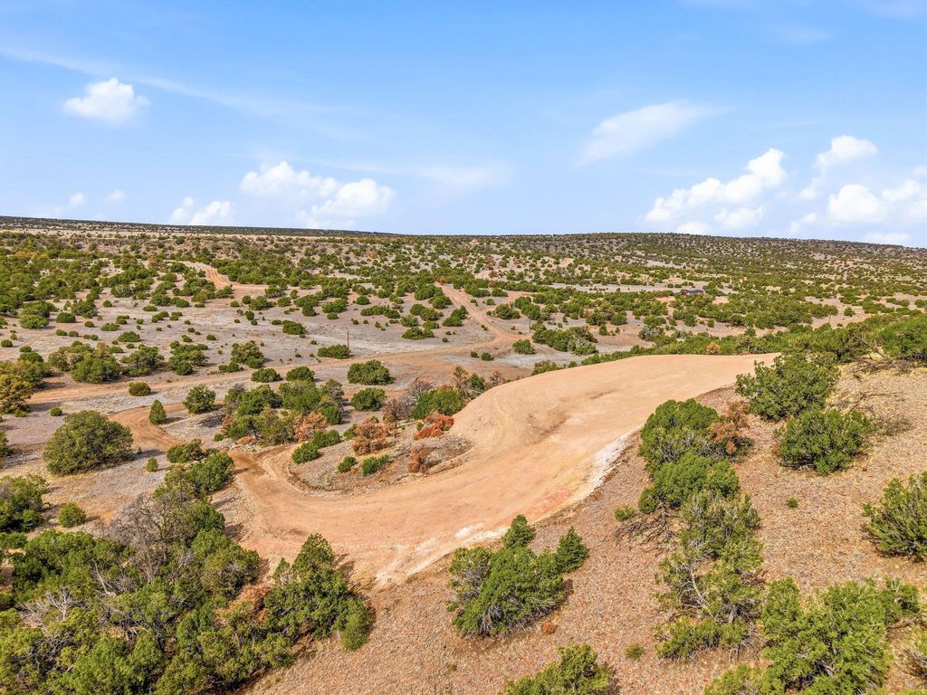 Image 4 of property listing at 311 Cimarron Drive, Quemado, NM 87829