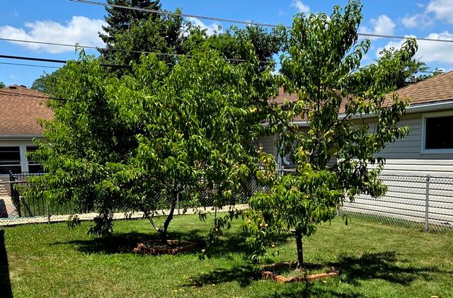 1422 Homestead Road, La Grange Park, IL 60526