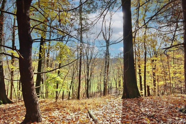 155 Mill Dam Road, Stone Ridge, NY 12484