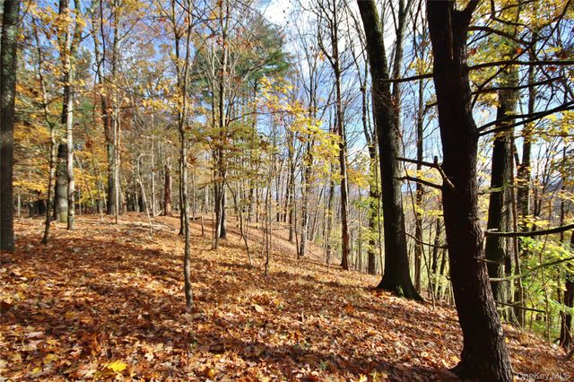 155 Mill Dam Road, Stone Ridge, NY 12484