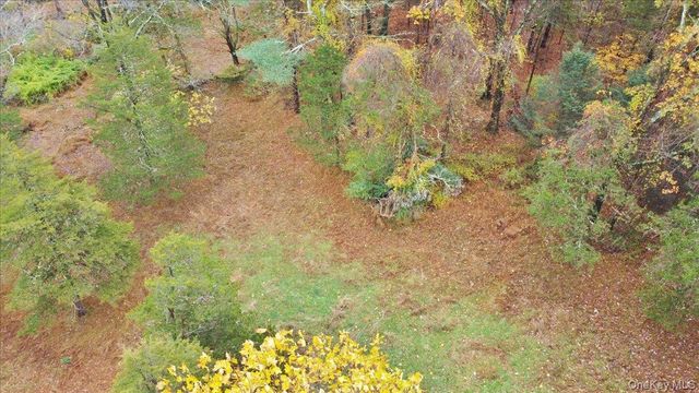 155 Mill Dam Road, Stone Ridge, NY 12484