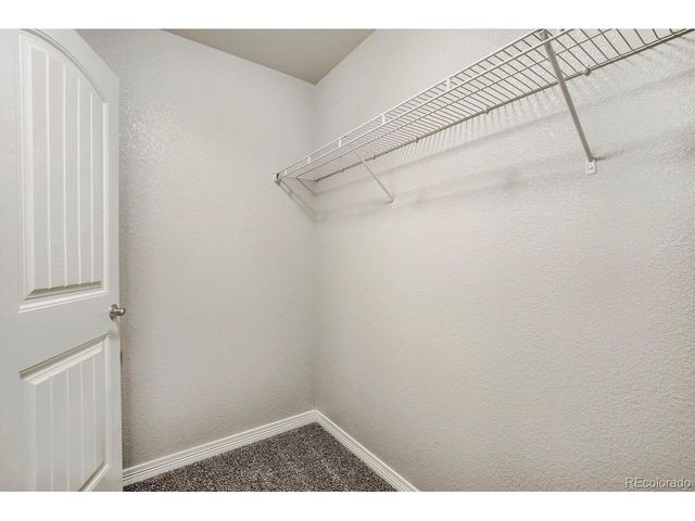 1778 Avery Plaza St, Severance, CO 80550