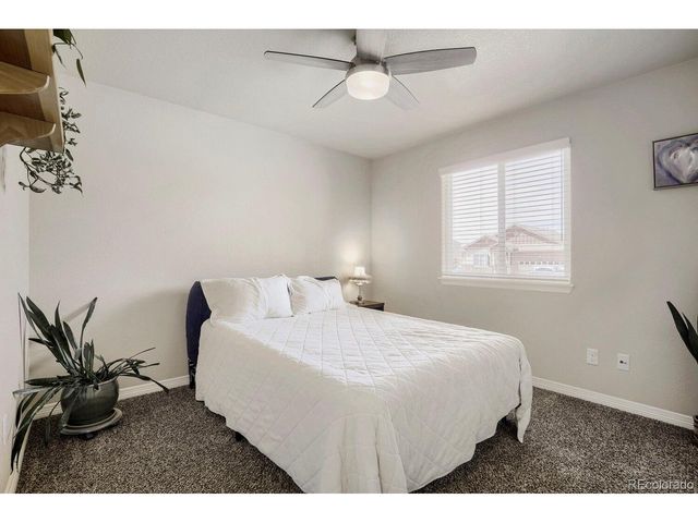 1778 Avery Plaza St, Severance, CO 80550