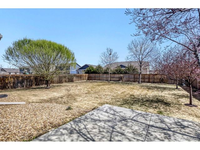 1778 Avery Plaza St, Severance, CO 80550