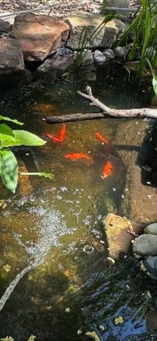 1216 Princeton Place, Euless, TX 76040