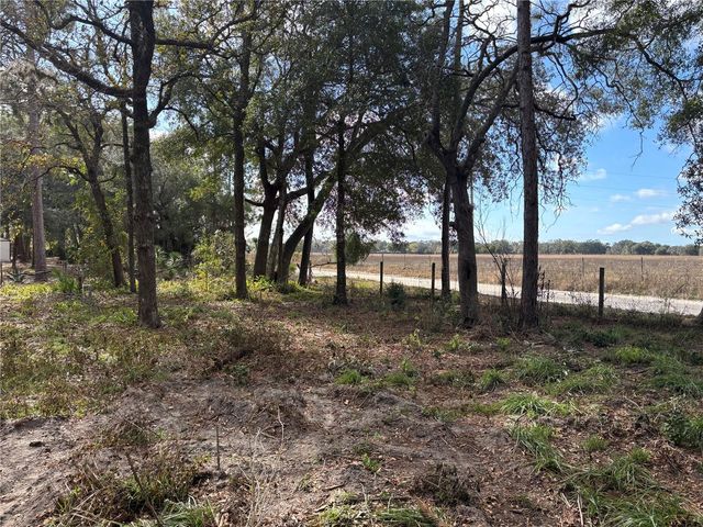 31 SE 190TH AVENUE, Old Town, FL 32680