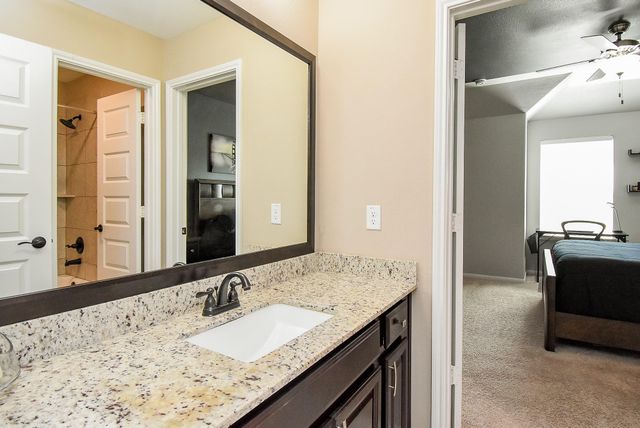 5910 Diamond Shadow Court, Richmond, TX 77469