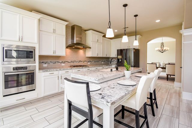 5910 Diamond Shadow Court, Richmond, TX 77469