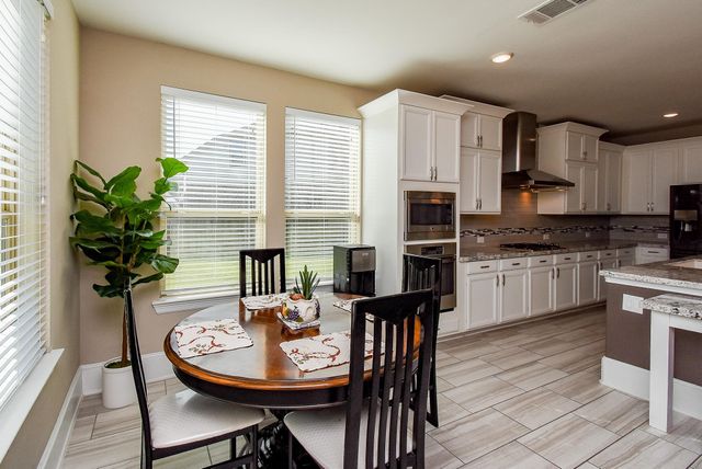 5910 Diamond Shadow Court, Richmond, TX 77469