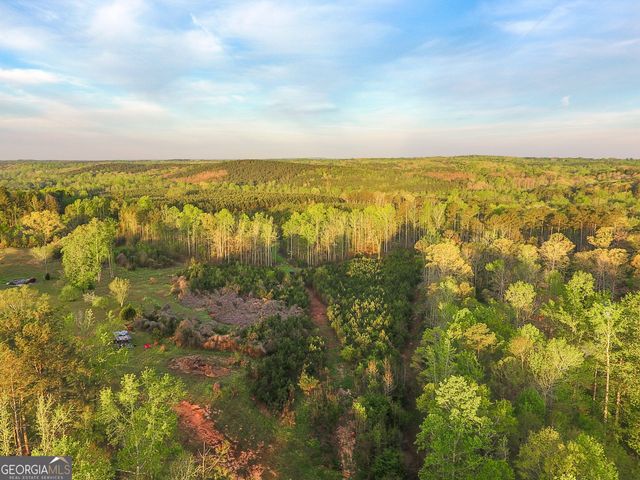 0 Bremen Mt Zion Road, Waco, GA 30182
