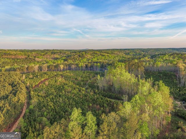 0 Bremen Mt Zion Road, Waco, GA 30182