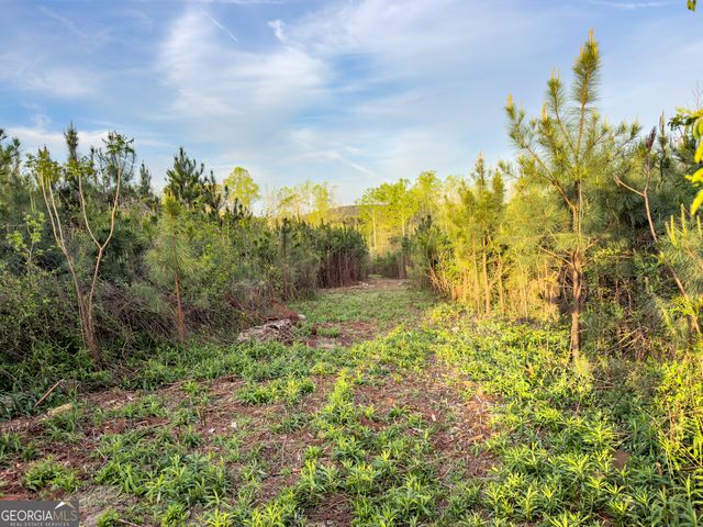0 Bremen Mt Zion Road, Waco, GA 30182