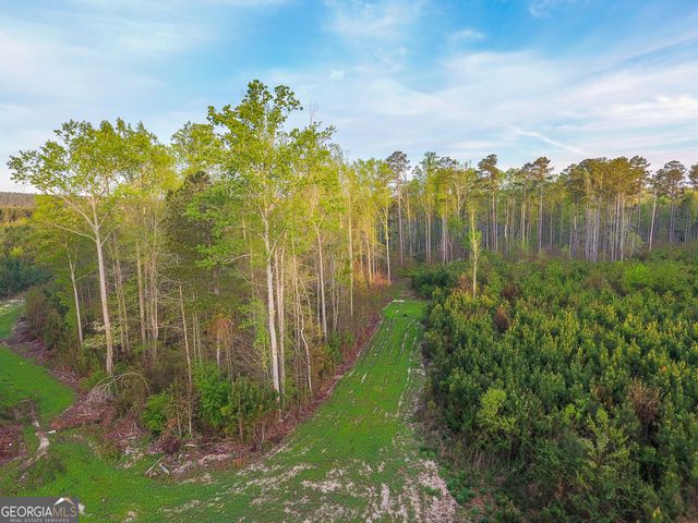 0 Bremen Mt Zion Road, Waco, GA 30182