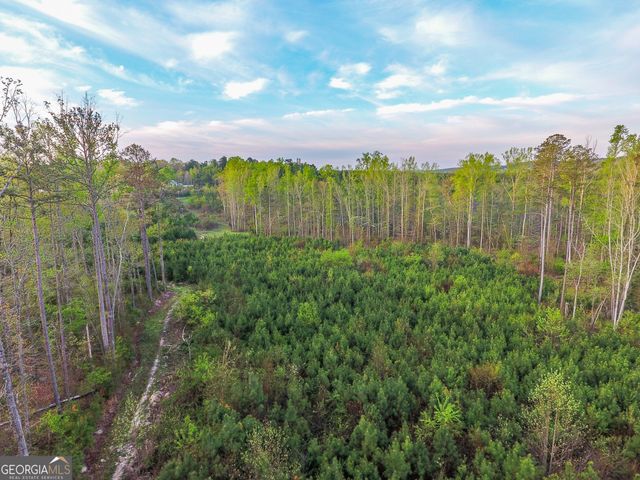 0 Bremen Mt Zion Road, Waco, GA 30182