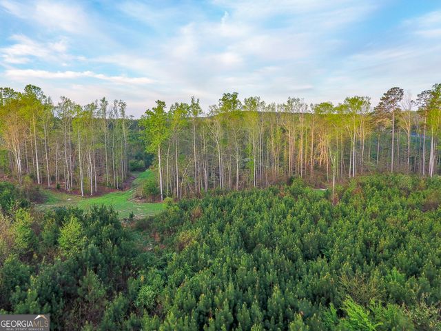 0 Bremen Mt Zion Road, Waco, GA 30182
