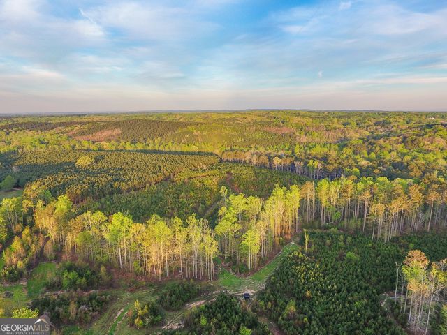 0 Bremen Mt Zion Road, Waco, GA 30182
