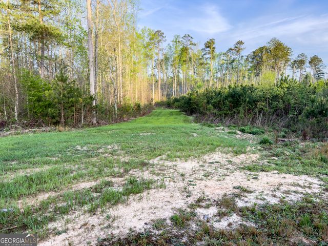 0 Bremen Mt Zion Road, Waco, GA 30182