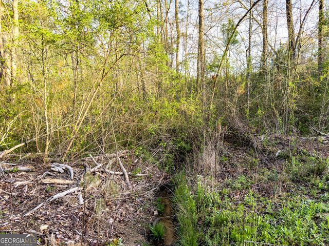 0 Bremen Mt Zion Road, Waco, GA 30182