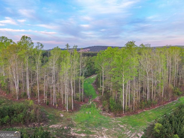 0 Bremen Mt Zion Road, Waco, GA 30182