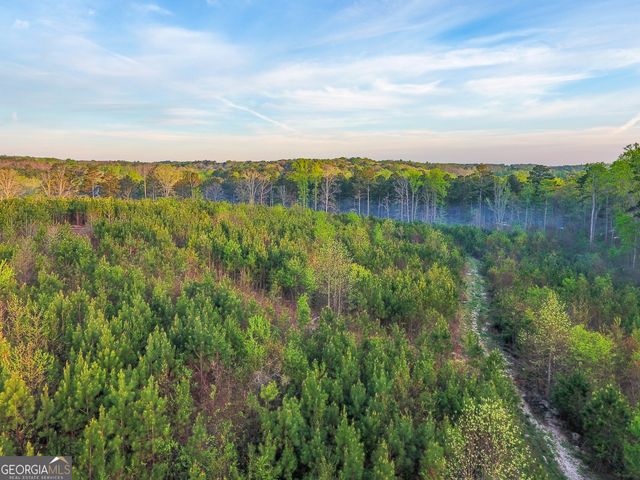 0 Bremen Mt Zion Road, Waco, GA 30182