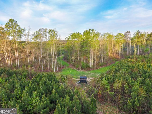 0 Bremen Mt Zion Road, Waco, GA 30182