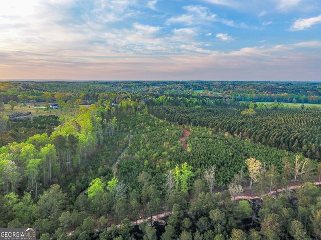 0 Bremen Mt Zion Road, Waco, GA 30182