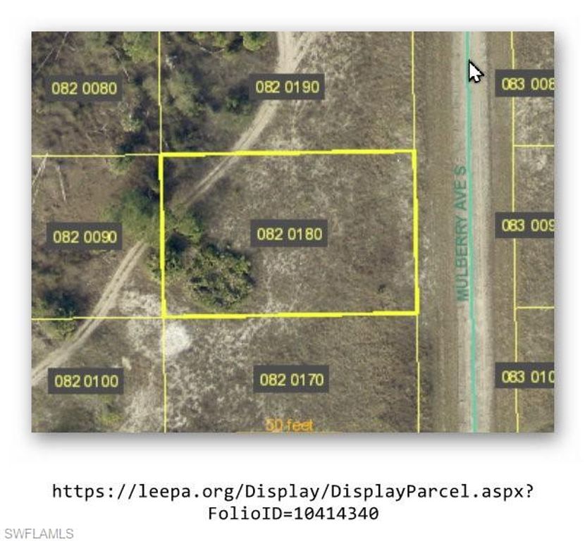 650 Mulberry AVE S, LEHIGH ACRES, FL 33974 — exterior