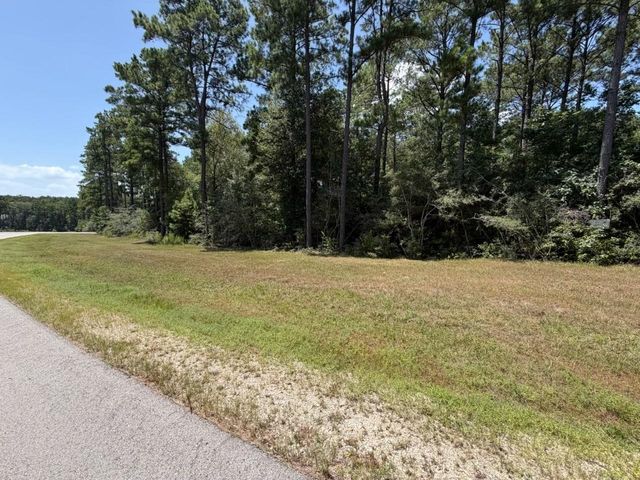 Lot 54 Grey Feather Road, Huntsville, TX 77340