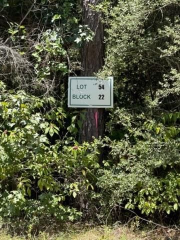 Lot 54 Grey Feather Road, Huntsville, TX 77340