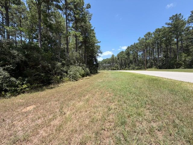 Lot 54 Grey Feather Road, Huntsville, TX 77340
