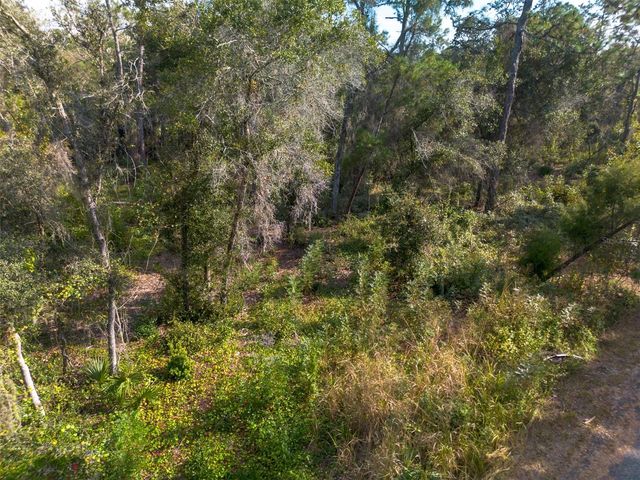 625 LAKE BUTLER AVENUE, Osteen, FL 32764