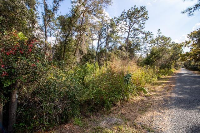 625 LAKE BUTLER AVENUE, Osteen, FL 32764