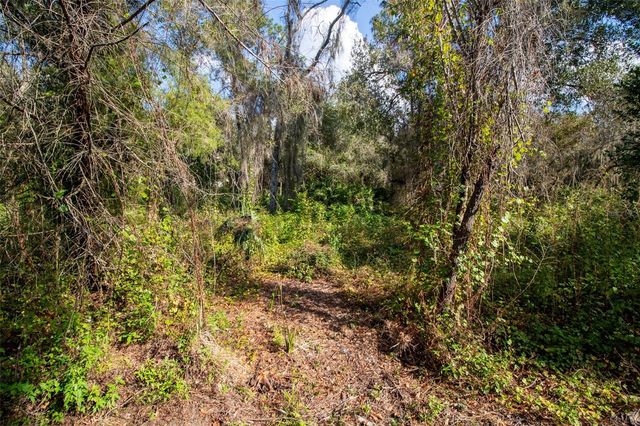 625 LAKE BUTLER AVENUE, Osteen, FL 32764