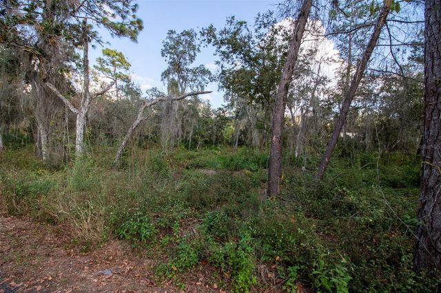 625 LAKE BUTLER AVENUE, Osteen, FL 32764