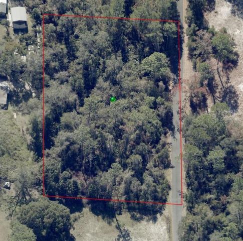 625 LAKE BUTLER AVENUE, Osteen, FL 32764