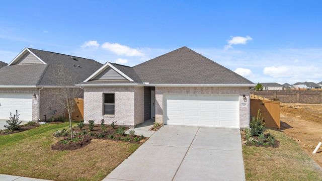 22014 Matera Vista Lane, Hockley, TX 77447