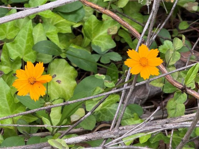 229 Tyler Brooks DR, Williamsburg, VA 23185