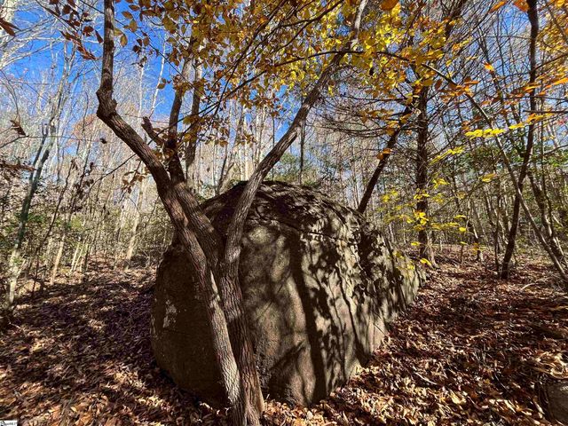 Old Dunham Bridge Road, Greenville, SC 29611