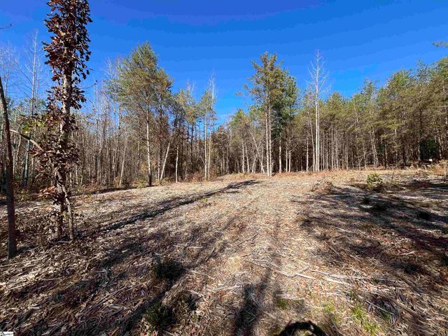 Old Dunham Bridge Road, Greenville, SC 29611