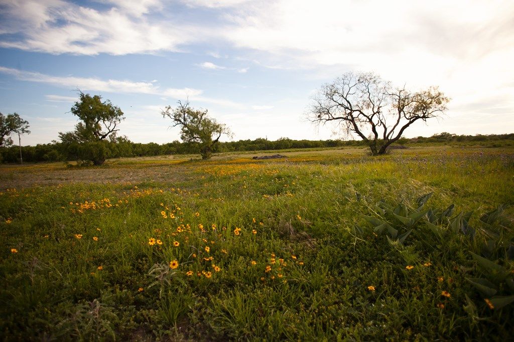 Image 79 of property listing at 10581 Ballard Rd, San Angelo, TX 76901