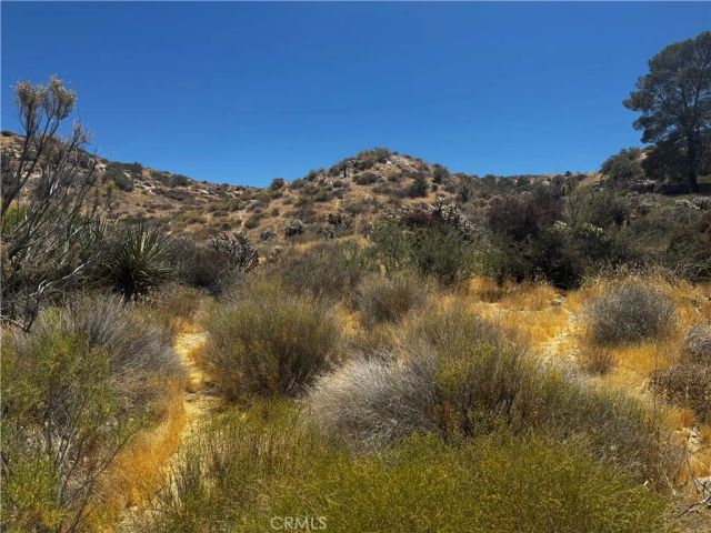 54025 Ridge, Yucca Valley, CA 92284