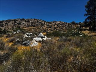 54025 Ridge, Yucca Valley, CA 92284