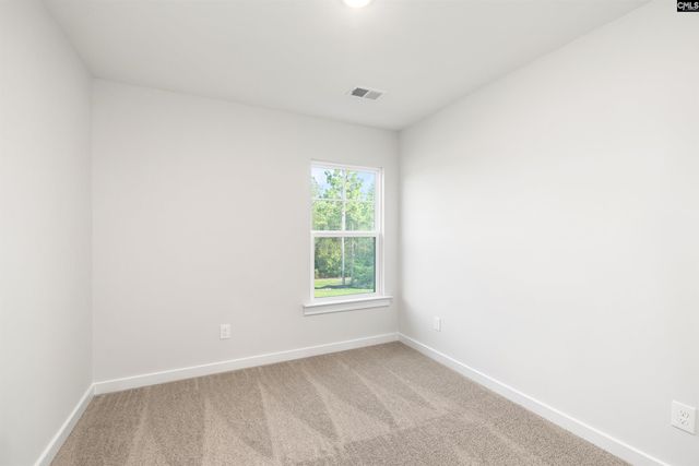 28 Fawn Spot Court, Elgin, SC 29045