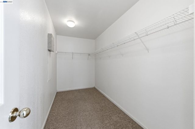 1405 Cat Tail Dr, Stockton, CA 95204