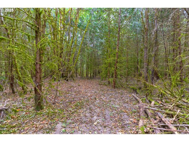 9701 Ne 299th, Battle Ground, WA 98604