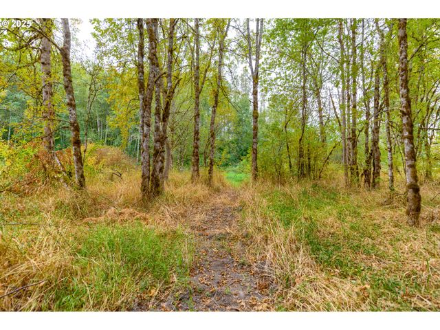 9701 Ne 299th, Battle Ground, WA 98604