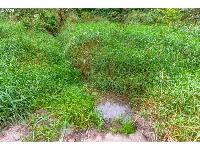 9701 Ne 299th, Battle Ground, WA 98604