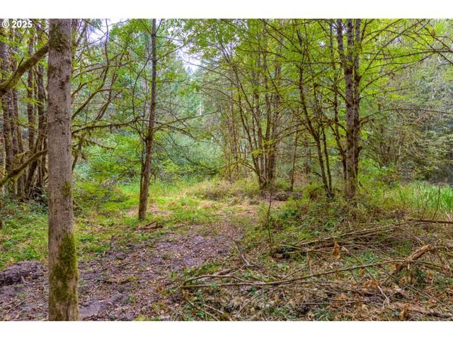 9701 Ne 299th, Battle Ground, WA 98604