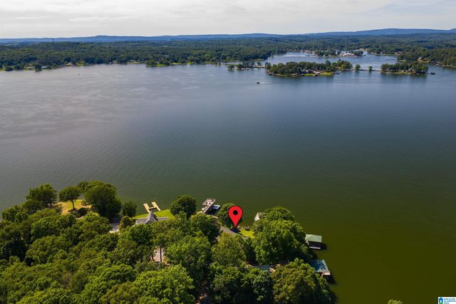 378 LAKEVIEW CIRCLE, Alpine, AL 35014